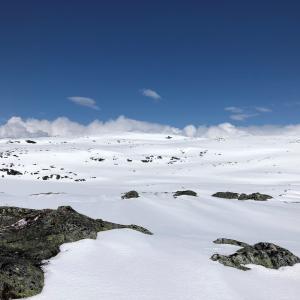 Winter landscape